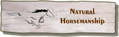 Natural Horsemanship